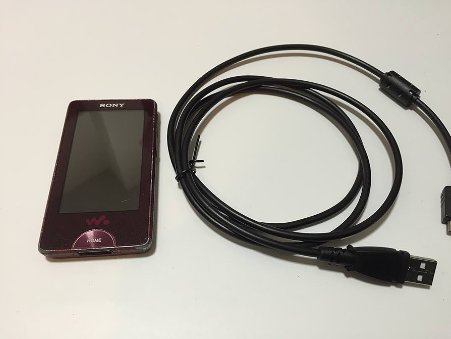 Amazon.co.jp: SONY ウォークマン Xシリーズ FM付 NC機能 ワンセグ