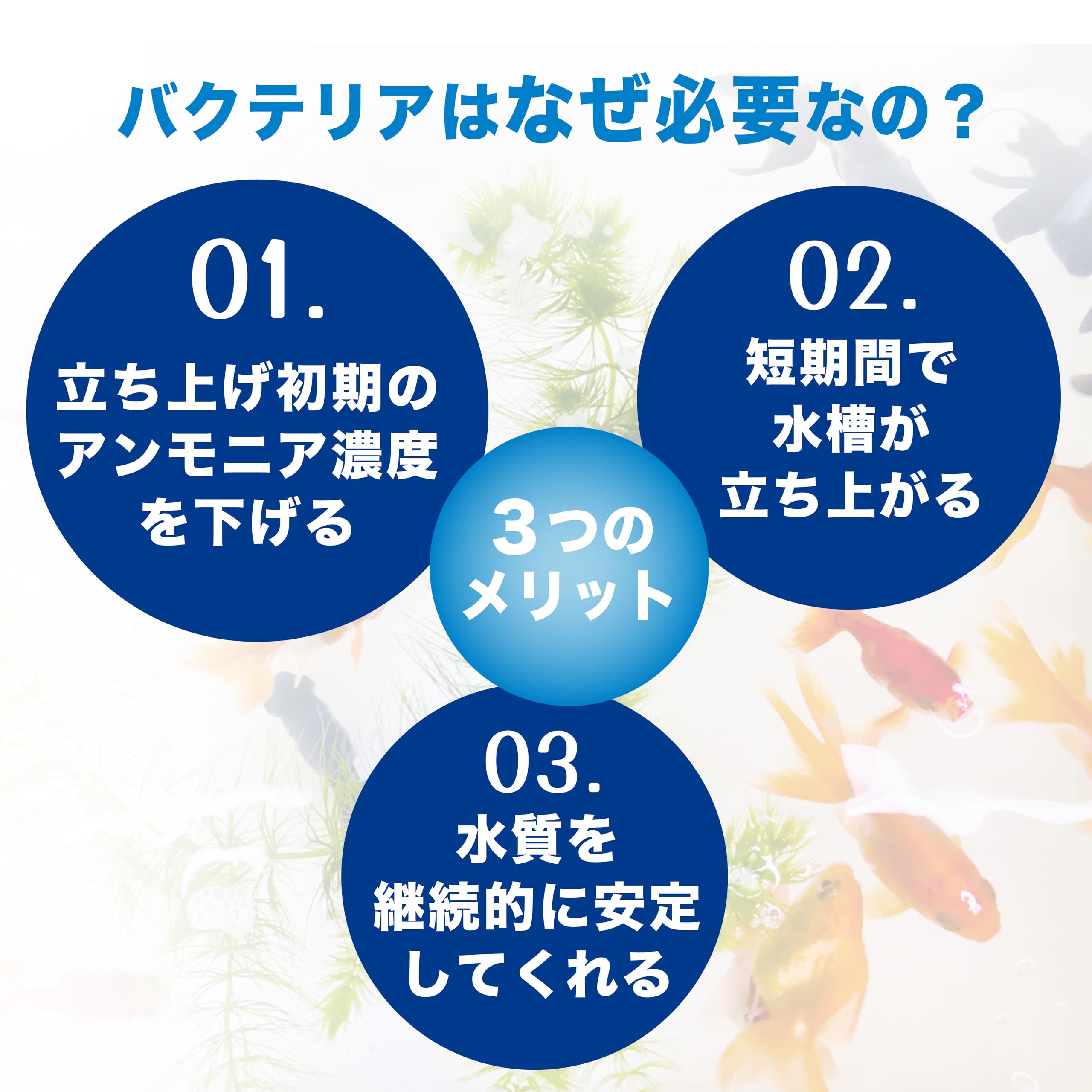 Amazon.co.jp: ［ENJOY AQUA］ 魚イキイキ きれいな水に！ 高濃度