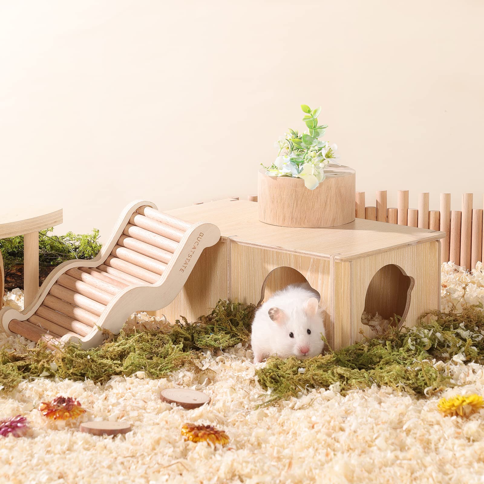 Amazon | BUCATSTATE ハムスター ハウス 木製 隠れ家 新版 2室 ウッド