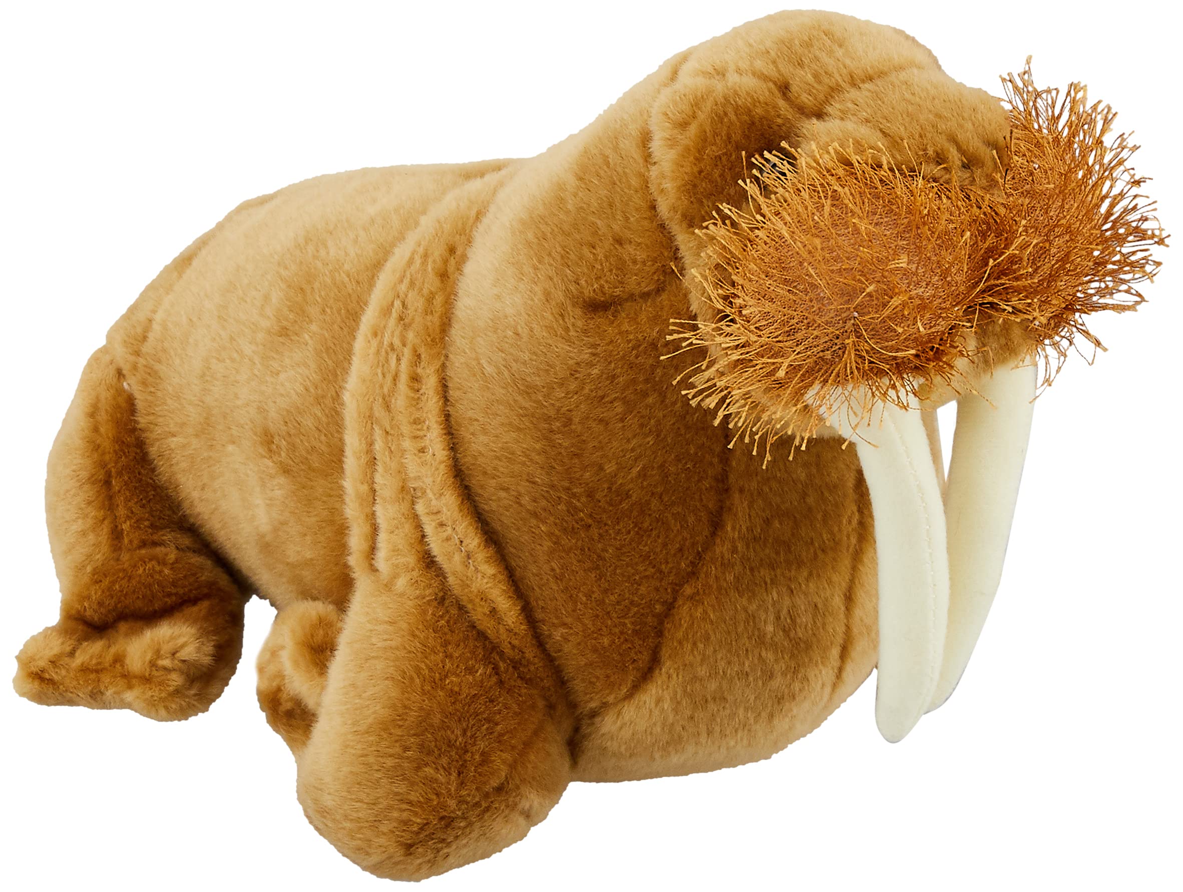 Amazon.co.jp: ナショナルジオグラフィック ぬいぐるみ セイウチ 28cm