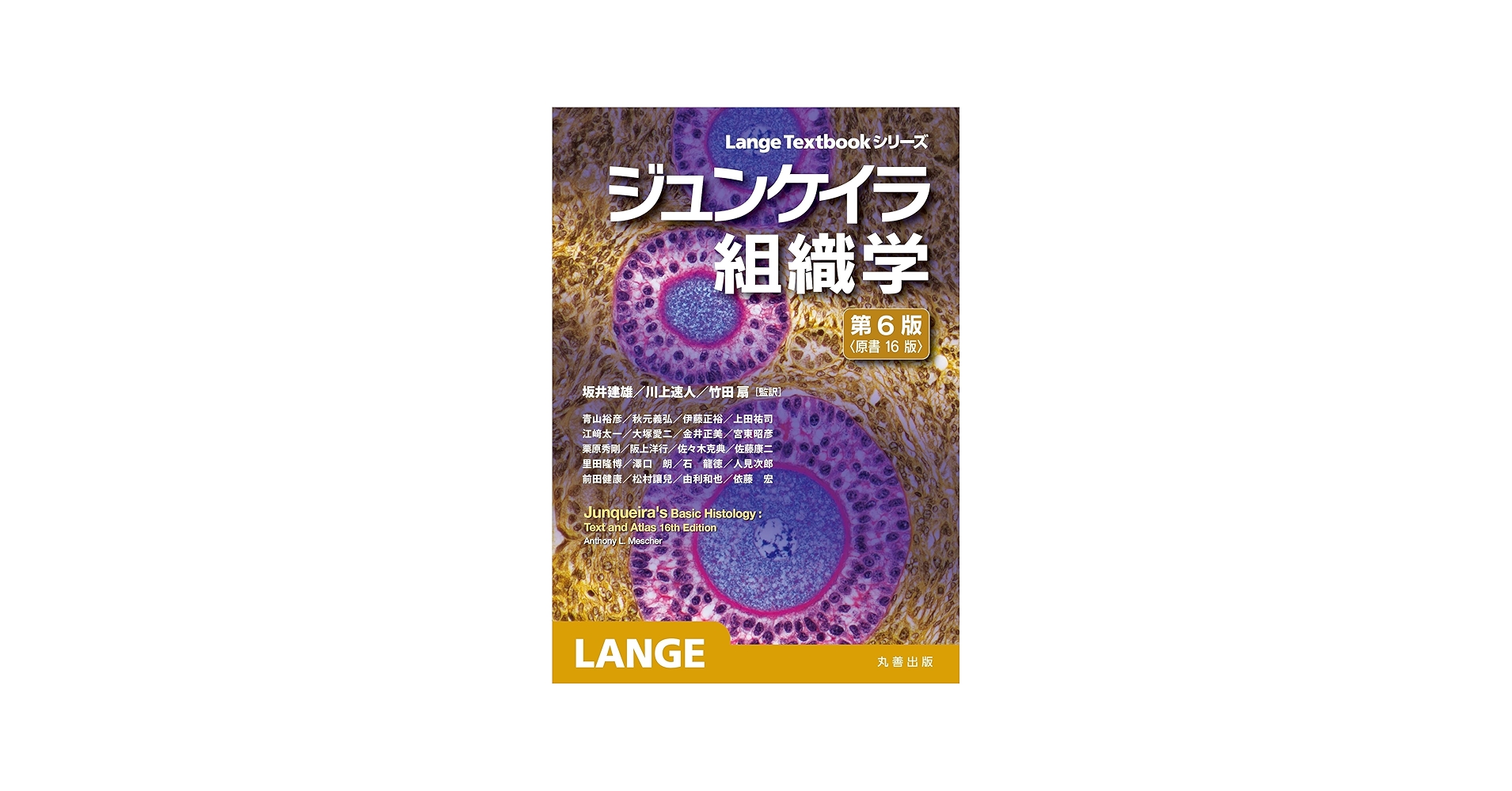 ジュンケイラ組織学 第6版(原書16版) (Lange Textbookシリーズ