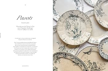 Amazon.com: Terre de fer: Collections de céramique française