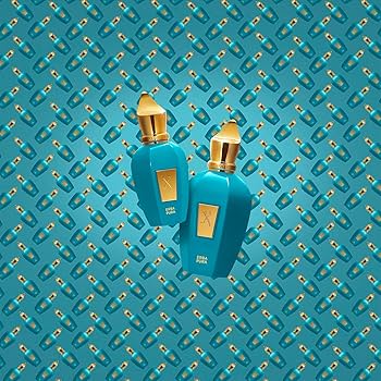 Amazon.com: Xerjoff Erba Pura Eau de Parfum, 100ml / 3.4 fl oz