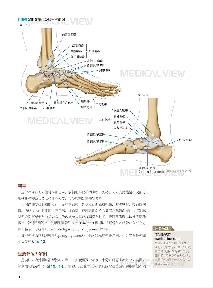 Amazon.co.jp: 図説 足の臨床−第4版 : 高倉 義典, 田中 康仁, 谷口 晃