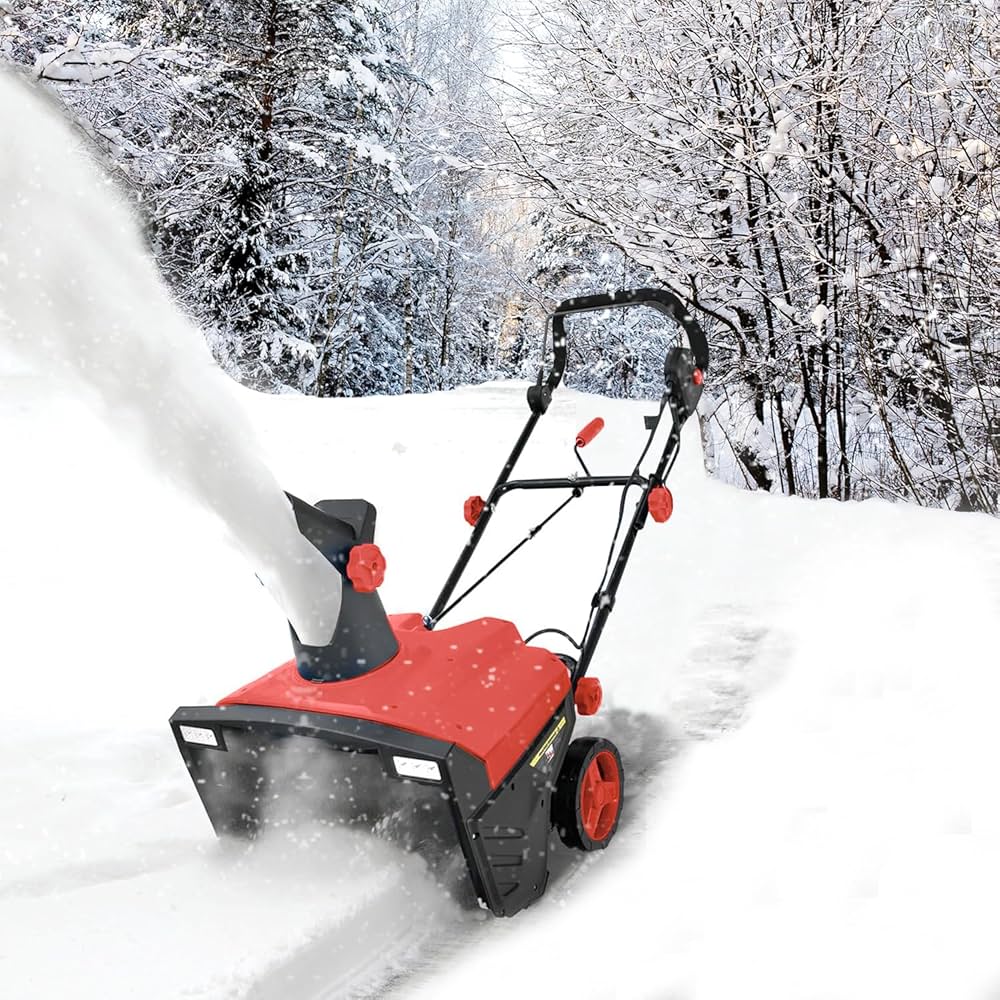 813fmjwey8L._AC_UF1000,