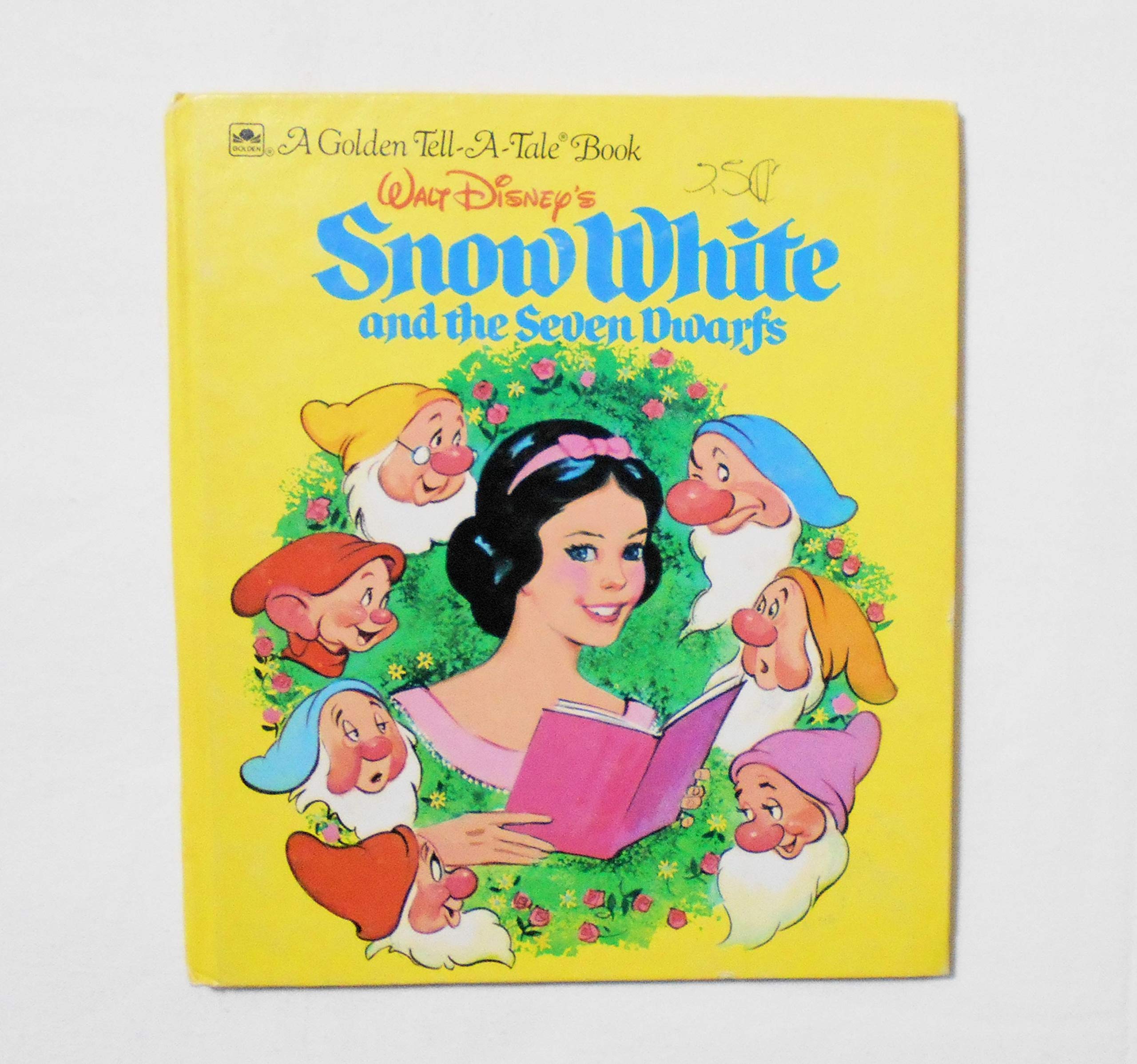 NO.302 超希少 レア 古書 アンティーク 洋書 児童書 ドイツ 妖精 小人