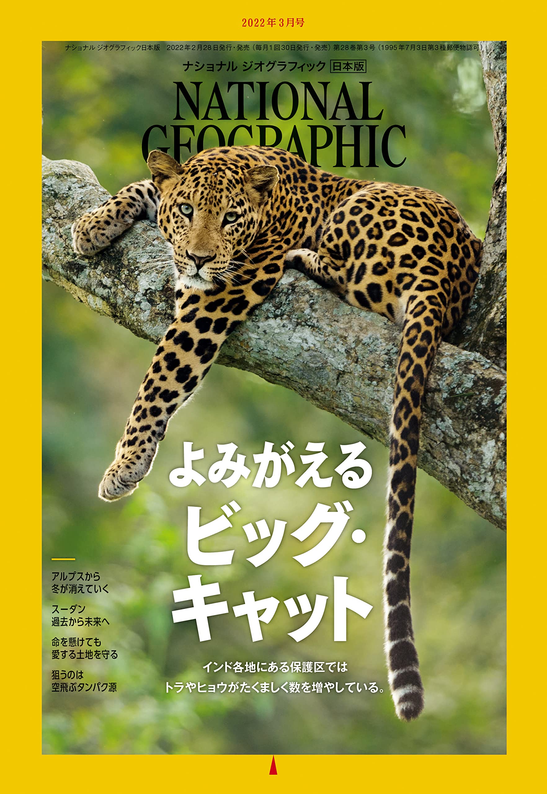 ナショナル ジオグラフィック日本版 2022年3月号[雑誌] | ナショナル
