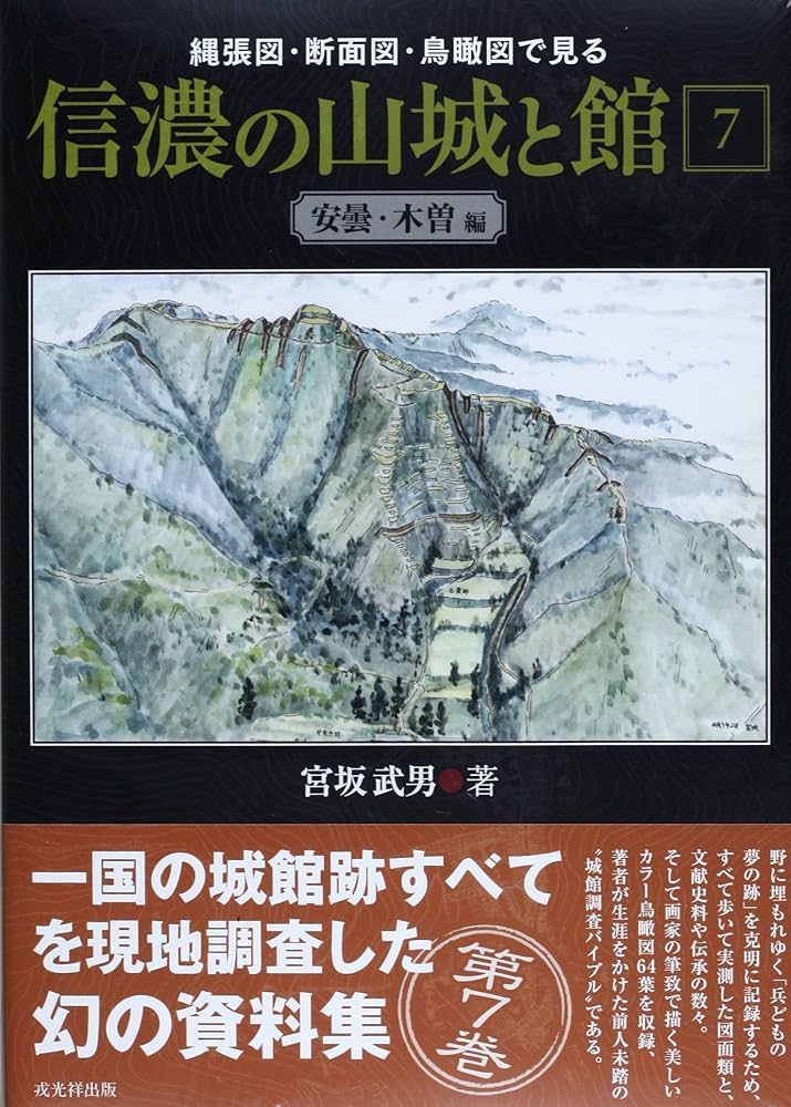 縄張図・断面図・鳥瞰図で見る信濃の山城と館 7 安曇・木曽編 | 宮坂