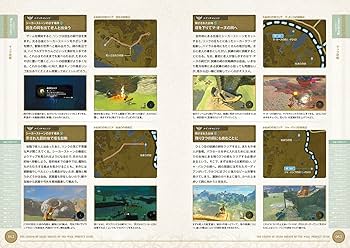Amazon.co.jp: ゼルダの伝説 ブレス オブ ザ ワイルド パーフェクト