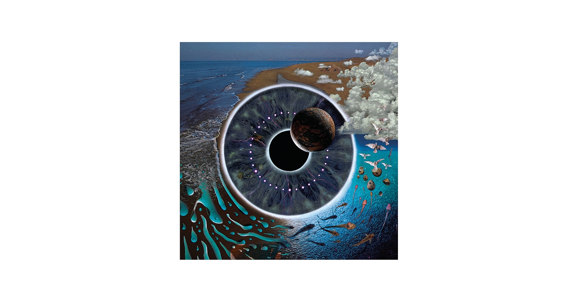 Amazon.com: Pink Floyd - Pulse : Pink Floyd: CDs & Vinyl