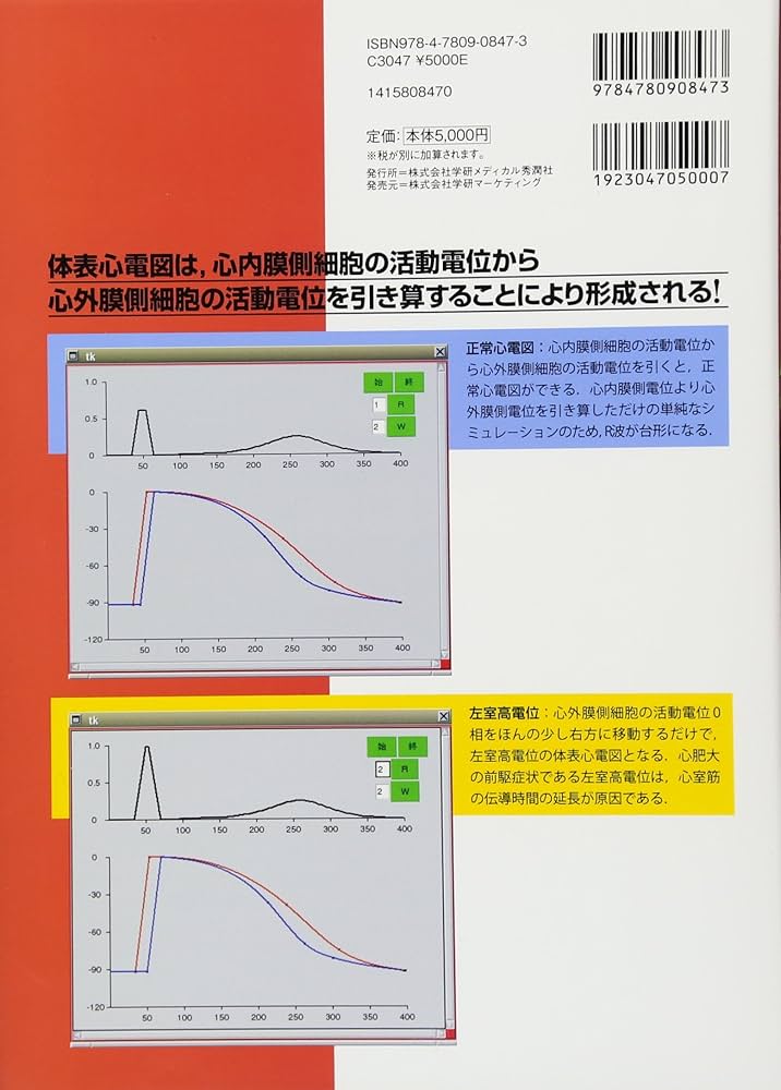 成り立ちから理解する心電図波形: 心筋の活動電位を読み解く | 田中