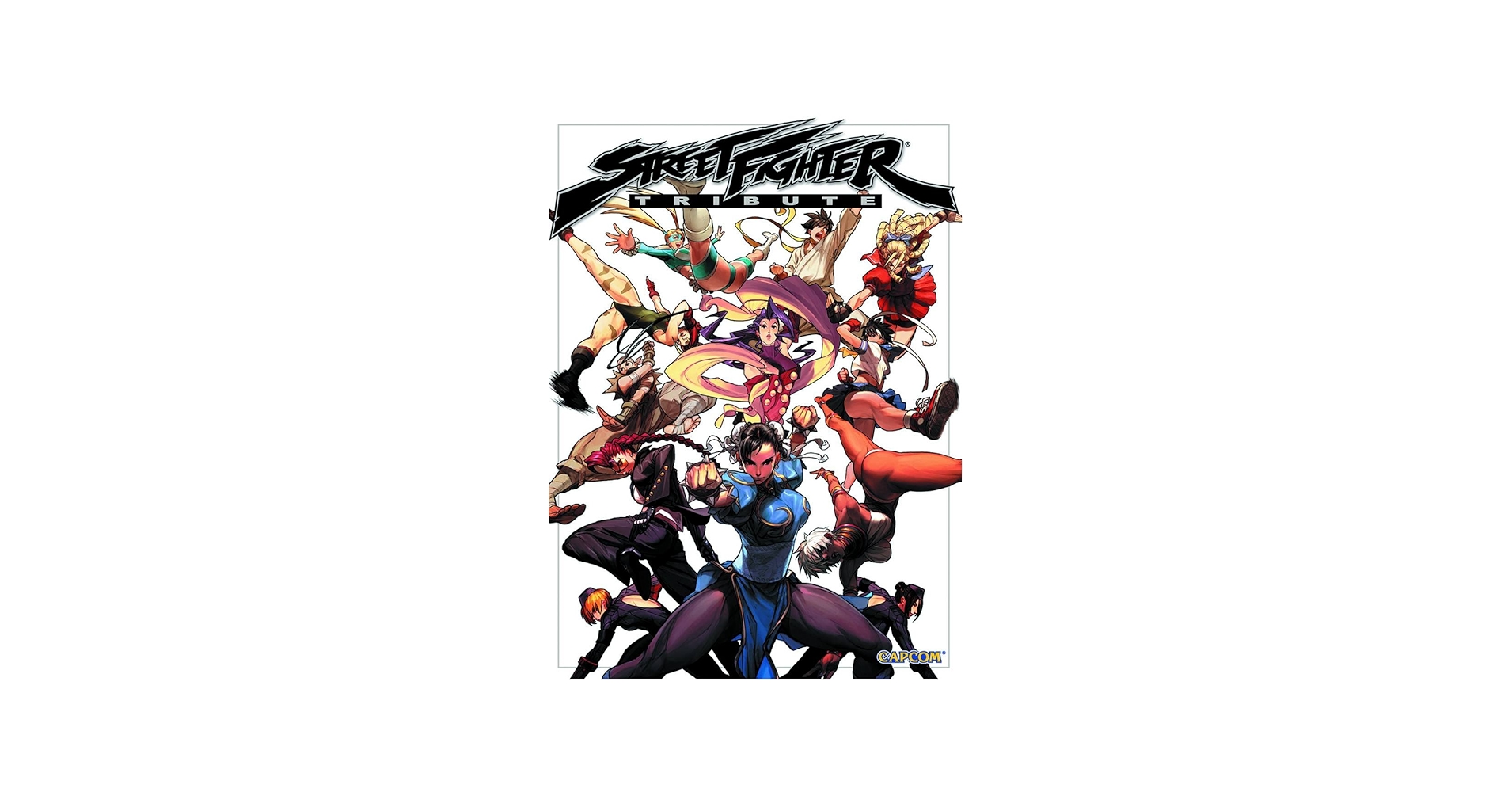 Amazon.com: Street Fighter Tribute: 9781897376980: UDON, Zubkavich