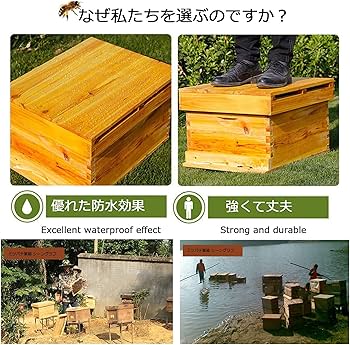 Amazon.co.jp: ミツバチ巣箱セット 養蜂 巣箱 キット 6フレーム