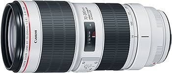 Amazon.com : Canon EF 70-200mm f/2.8L is III USM Lens for Canon