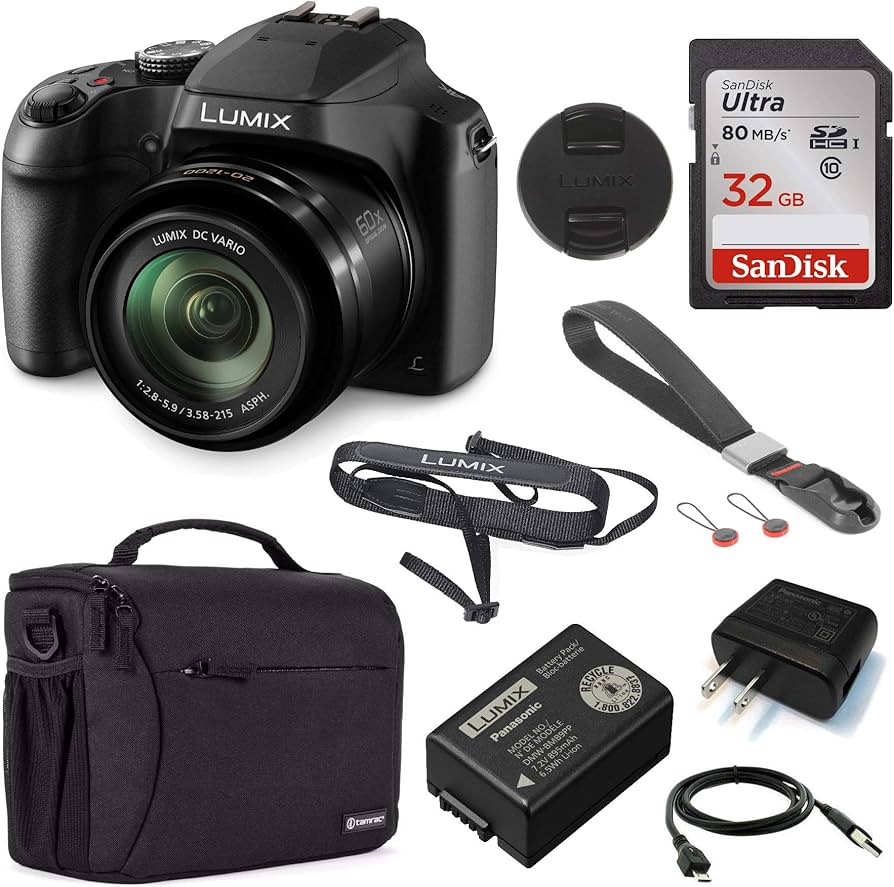 Amazon.com : Panasonic LUMIX FZ80D 18.1MP Point & Shoot Digital