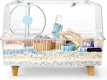 81u3kCUfvRL._AC_UF350,