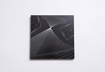 Amazon.co.jp: 「調べる相対性理論」数量限定 高音質45回転12インチ