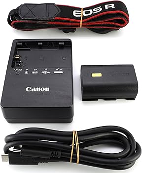 Amazon.co.jp: Canon ミラーレス一眼カメラ EOS R ボディー EOSR