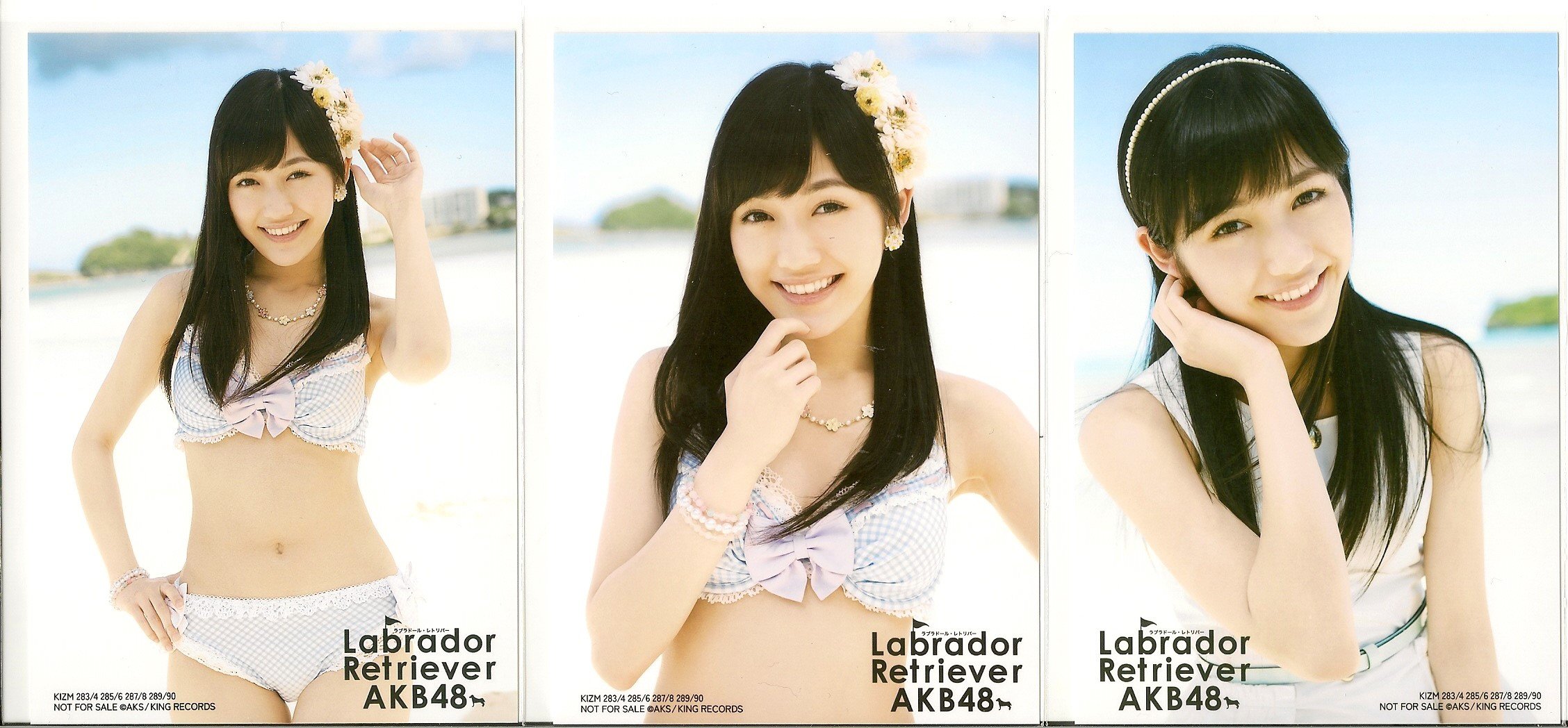 Amazon.co.jp: AKB48 公式生写真 ラブラドール・レトリバー 封入生写真