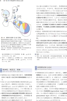 Amazon.co.jp: 神経眼科学を学ぶ人のために 第3版 : 三村 治: 本