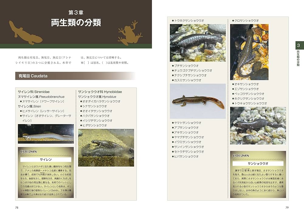 カラーアトラスエキゾチックアニマル 爬虫類・両生類編 第2版 | 霍野