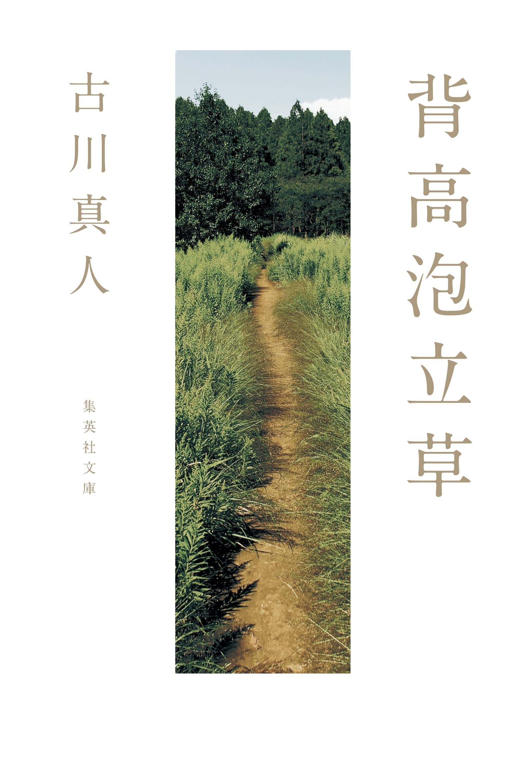 背高泡立草 (集英社文庫) | 古川 真人 |本 | 通販 | Amazon