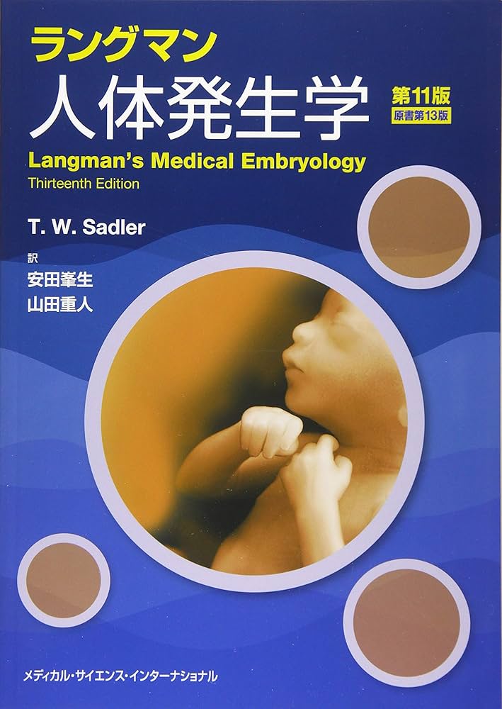 ラングマン人体発生学 第11版 | 安田峯生, 山田重人 |本 | 通販 | Amazon