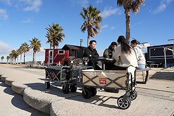 Amazon.co.jp: キャリーワゴン 電動アシスト【Mr. Carry】アウトドア