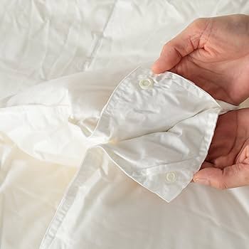 Amazon｜nishikawa 【 西川 】 デュエット羽毛布団 クイーン