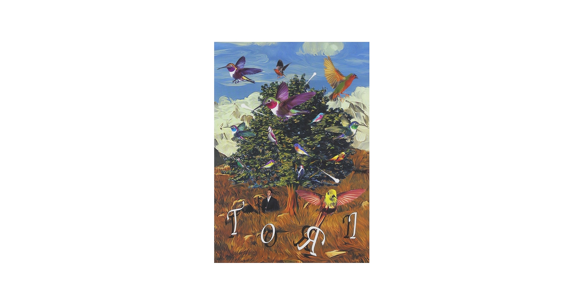 Amazon.co.jp: 浅野忠信「トーリ」 [DVD] : 浅野忠信, 宮崎将, 菊地