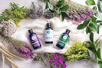 Amazon.com: Woolzies Lavender Essential Oil - Aromatherapy