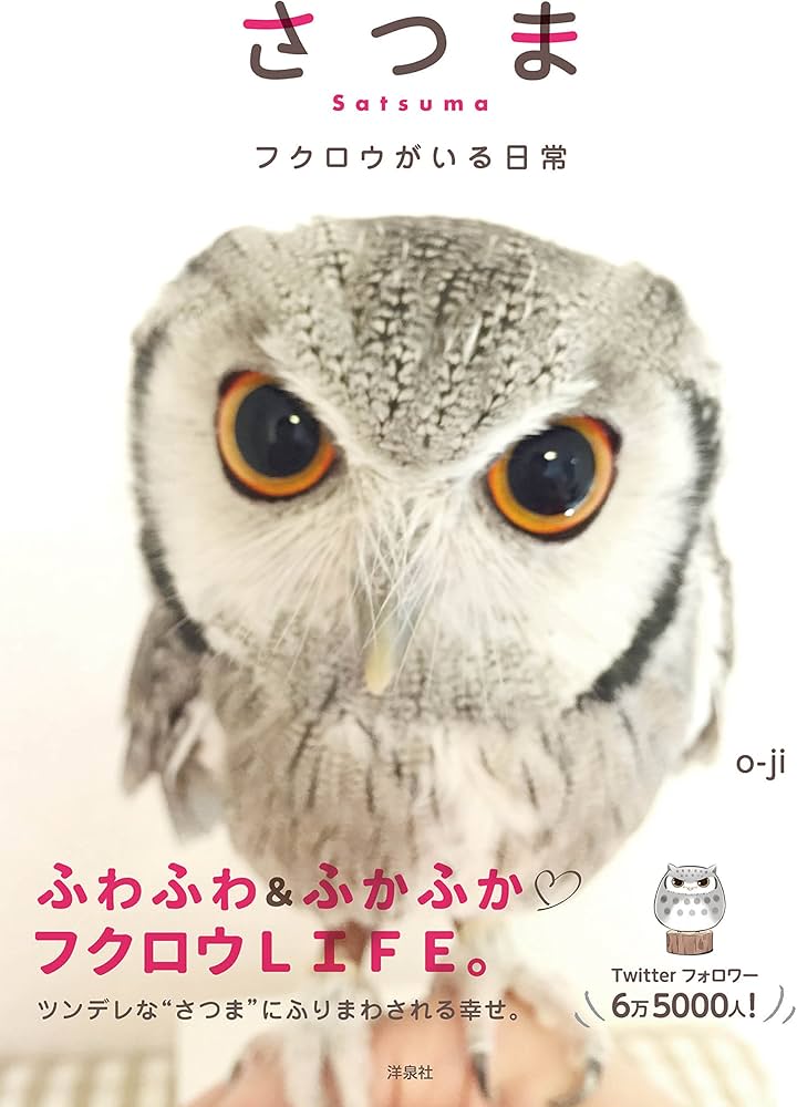 さつま フクロウがいる日常 | o-ji |本 | 通販 | Amazon