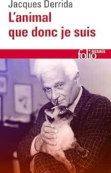 81xQu1lI4tL._AC_UF350,