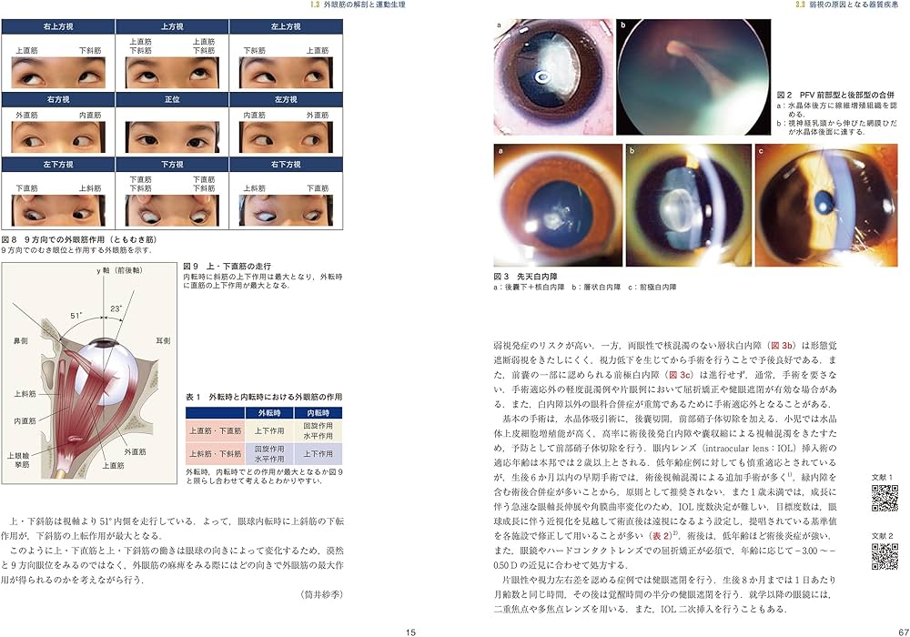 最新 弱視・斜視診療エキスパートガイドー解剖生理・検査法から手術