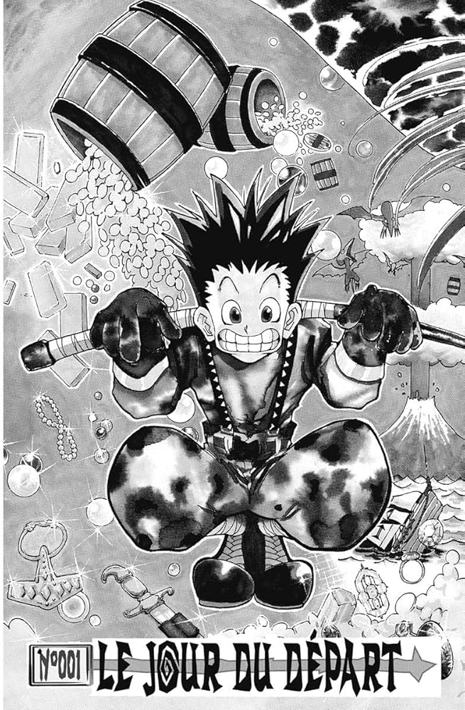 Amazon.com: Hunter X Hunter - Tome 1: 9782871292661: Yoshihiro