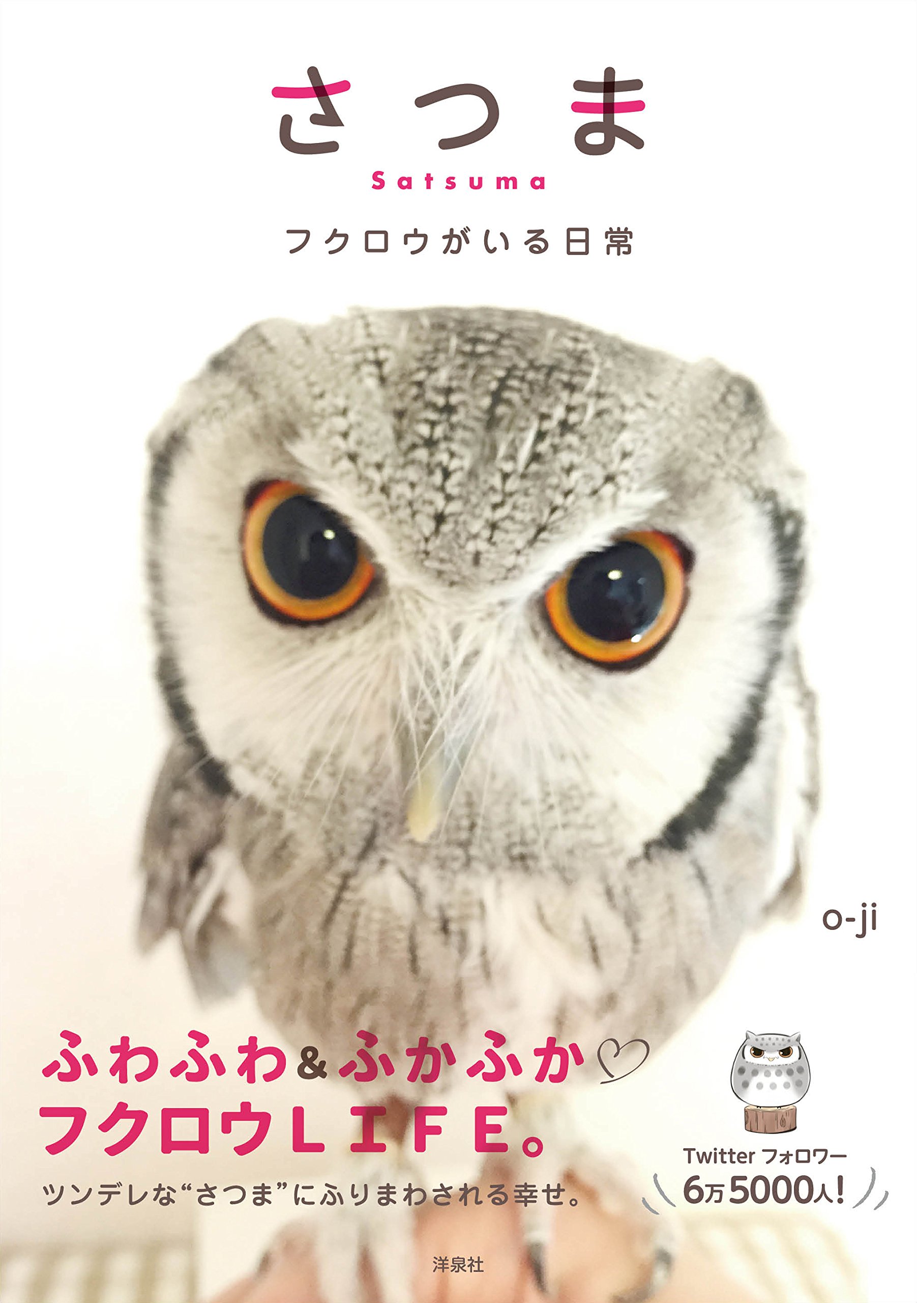 さつま フクロウがいる日常 | o-ji |本 | 通販 | Amazon