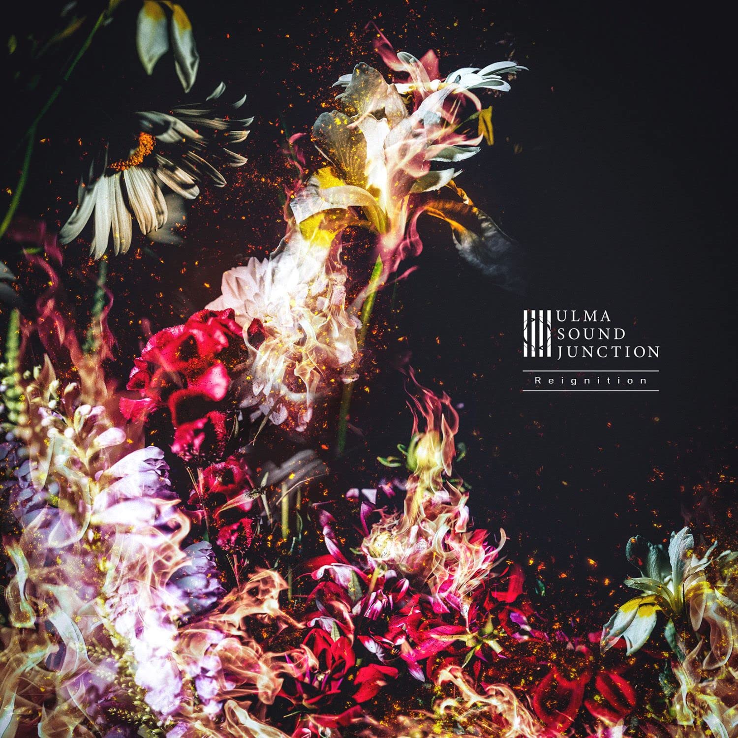 Amazon.co.jp: Reignition: ミュージック