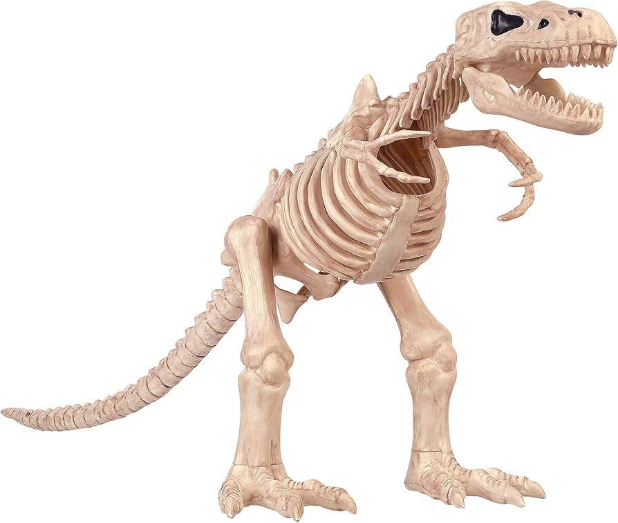 Amazon.com: Crazy Bonez T-Rex Skeleton Toy : Toys & Games