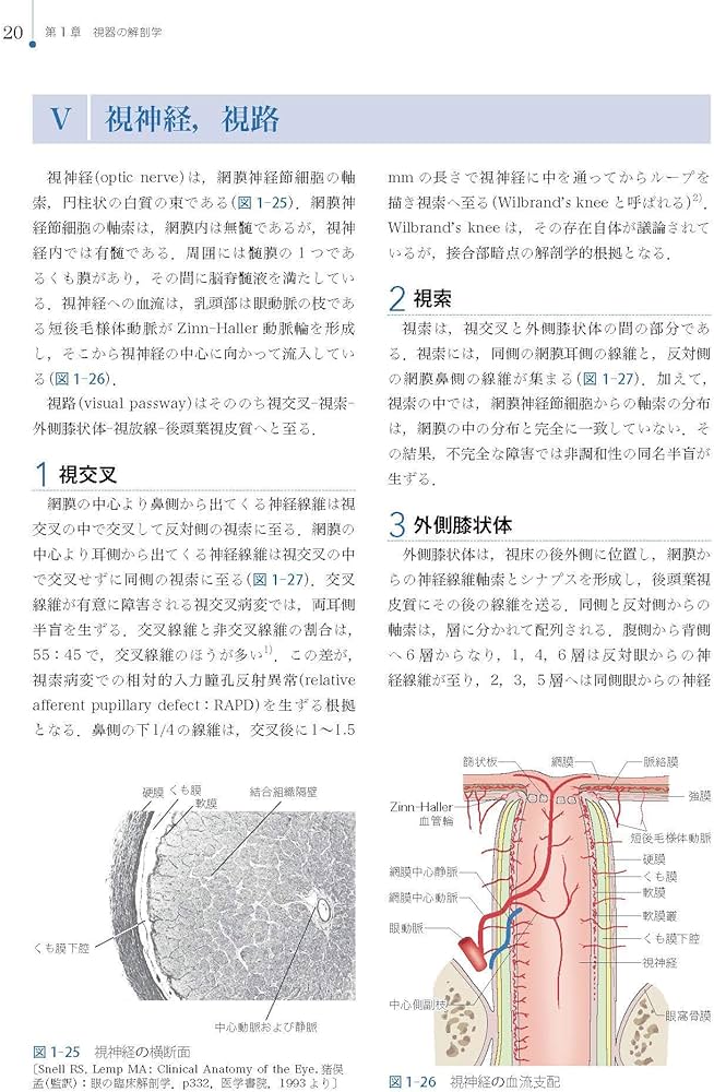 Amazon.co.jp: 視能検査学 (視能学エキスパート) : 公益社団法人 日本