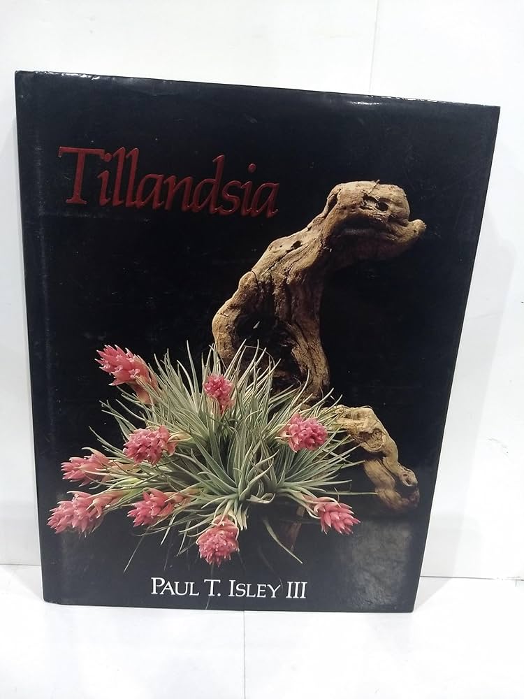 Amazon | Tillandsia: The World's Most Unusual Airplanes | Isley