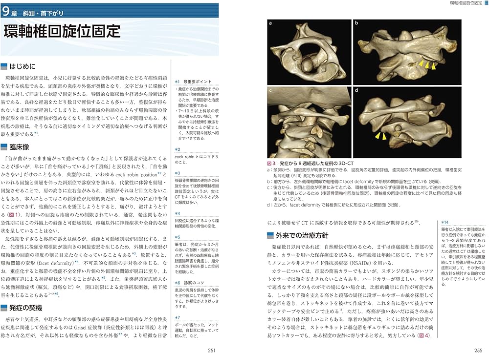 頚椎・胸椎の痛みと障害 (ニュースタンダード整形外科の臨床) | 筑田