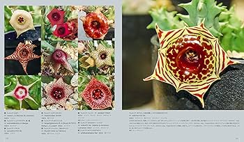 多肉植物全書 All about SUCCULENTS | パワポン・スパナンタナーノン