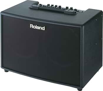 Amazon | ROLAND AC-60 アコギ用アンプ | ギター | 楽器・音響機器