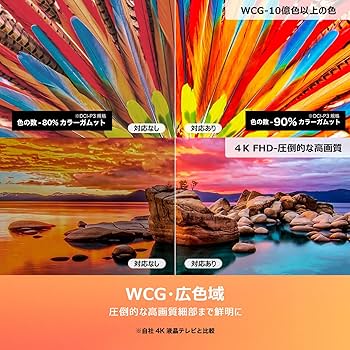 Amazon | 【Amazon.co.jp 限定】TCL テレビ 55V型 4K 広色域 Google TV