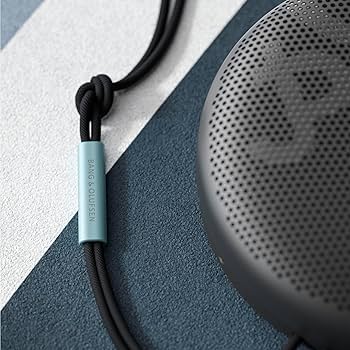Amazon.com: Bang & Olufsen Beosound A1 (2nd Generation) Wireless