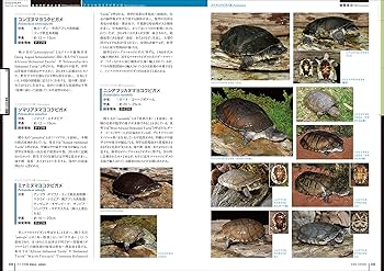 Amazon.co.jp: カメ大図鑑 潜頸亜目・曲頸亜目: 水棲種と陸棲種の分類
