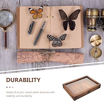 希少蝶の標本 ドイツ木製フレーム付き箱現状品のみ42x32x6cm ドイツ箱