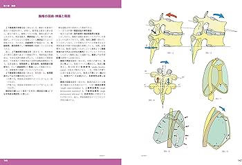 81zckYCghnL._AC_UF350,