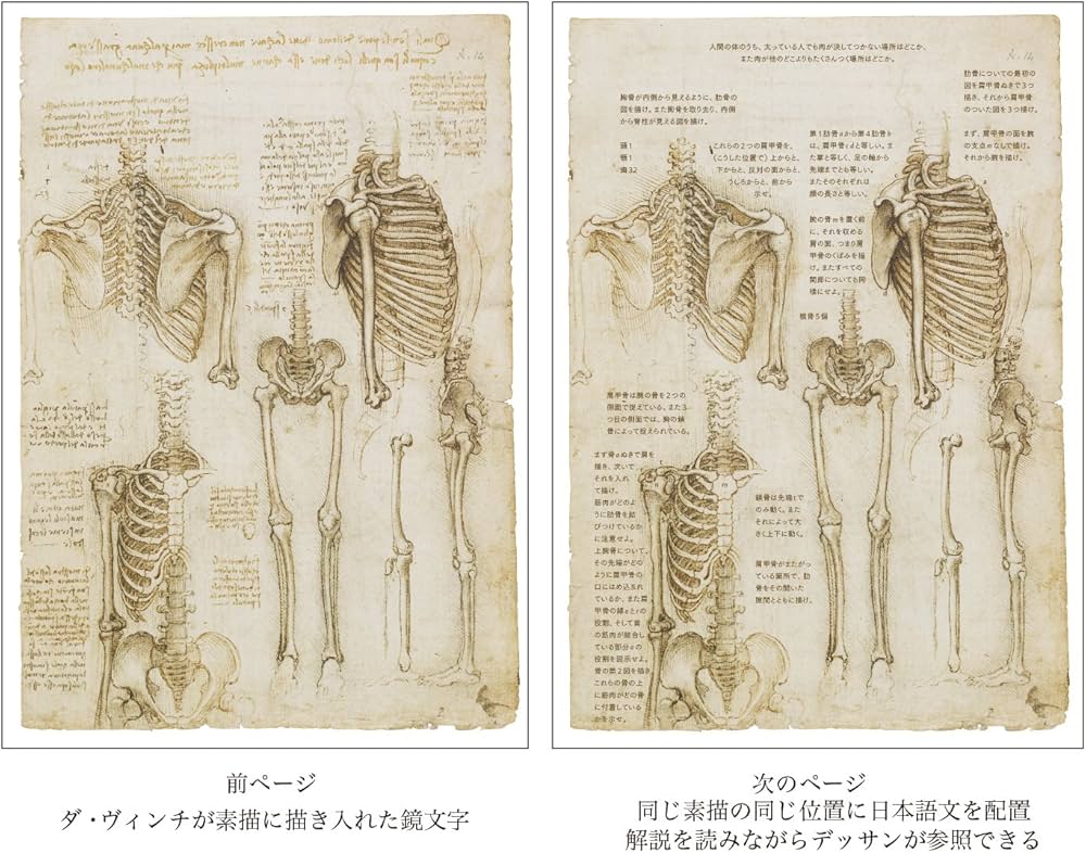 レオナルド・ダ・ヴィンチの「解剖手稿A」 人体の秘密にメスを入れた