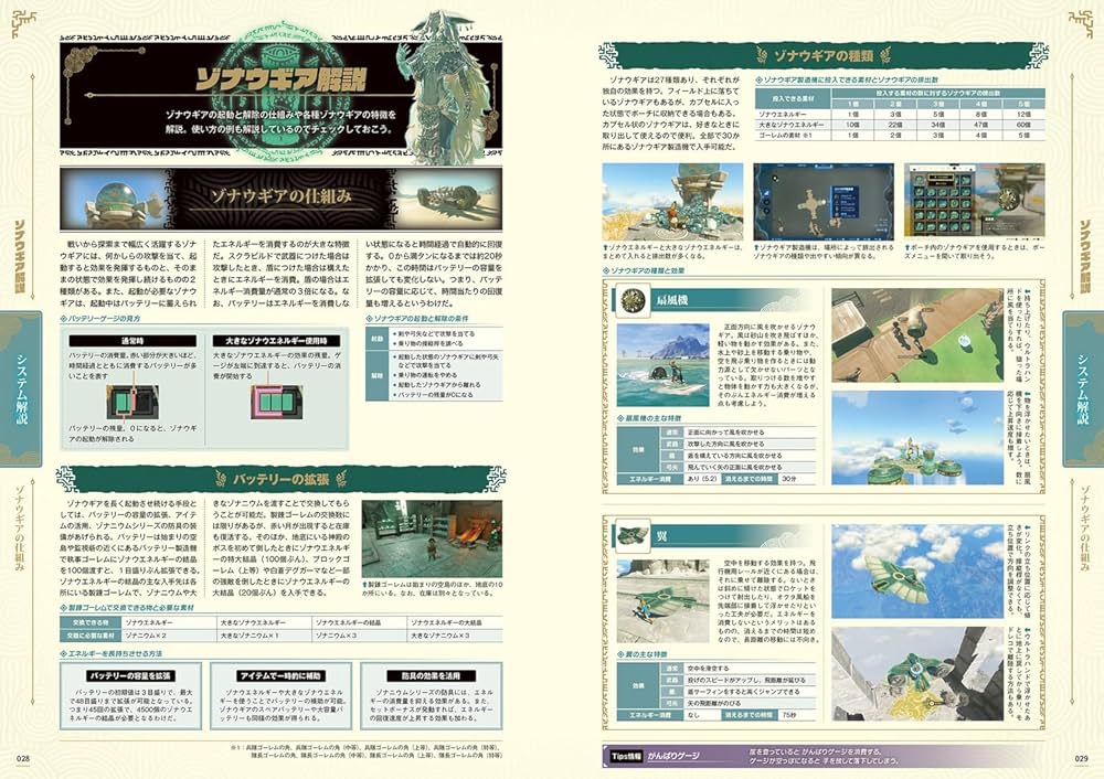 Amazon.co.jp: ゼルダの伝説 ティアーズ オブ ザ キングダム ザ